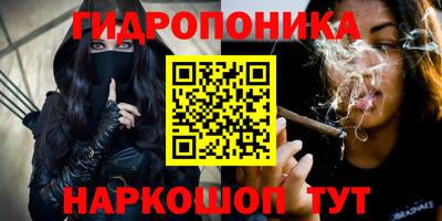 амф Кингисепп