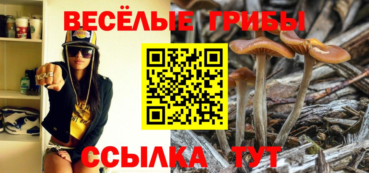 Галлюциногенные грибы мухоморы  Галлюциногенные грибы GOLDEN TEACHER  Алапаевск  Вход с VPN 